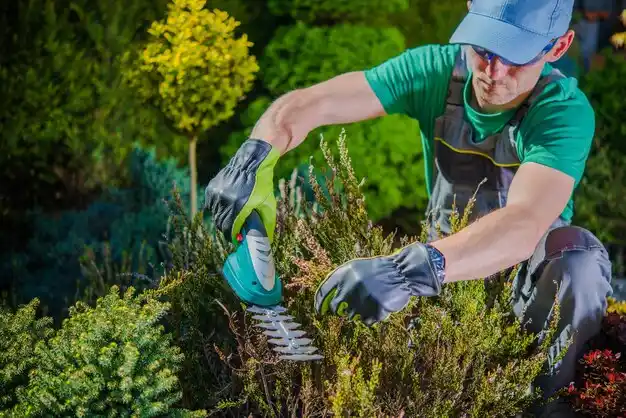 landscaping services West Unity